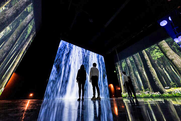A photo of an Arte Museum digital exhibit.